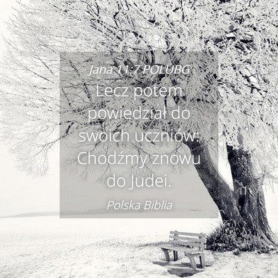Picture 04 - Jana 11:7 POLUBG - Lecz potem powiedział do swoich uczniów: - Bible Verse Picture
