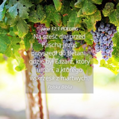 Picture 04 - Jana 12:1 POLUBG - Na sześć dni przed Paschą Jezus przyszedł do - Bible Verse Picture