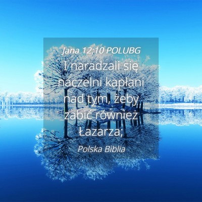 Picture 04 - Jana 12:10 POLUBG - I naradzali się naczelni kapłani nad tym, żeby - Bible Verse Picture