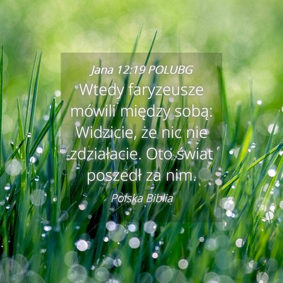 Picture 04 - Jana 12:19 POLUBG - Wtedy faryzeusze mówili między sobą: Widzicie, - Bible Verse Picture