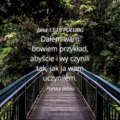 Picture 04 - Jana 13:15 POLUBG - Dałem wam bowiem przykład, abyście i wy - Bible Verse Picture