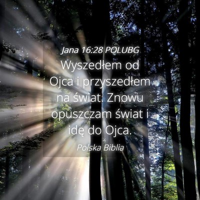 Picture 04 - Jana 16:28 POLUBG - Wyszedłem od Ojca i przyszedłem na świat. - Bible Verse Picture
