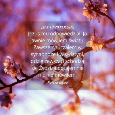 Picture 04 - Jana 18:20 POLUBG - Jezus mu odpowiedział: Ja jawnie mówiłem - Bible Verse Picture