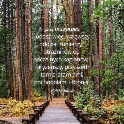 Picture 04 - Jana 18:3 POLUBG - Judasz więc, wziąwszy oddział żołnierzy i - Bible Verse Picture