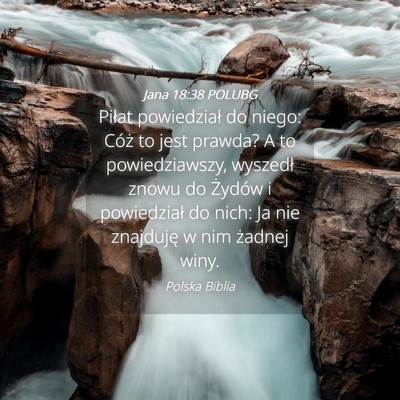 Picture 04 - Jana 18:38 POLUBG - Piłat powiedział do niego: Cóż to jest - Bible Verse Picture