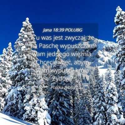 Picture 04 - Jana 18:39 POLUBG - A u was jest zwyczaj, że na Paschę wypuszczam - Bible Verse Picture