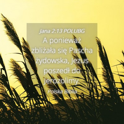 Picture 04 - Jana 2:13 POLUBG - A ponieważ zbliżała się Pascha żydowska, - Bible Verse Picture
