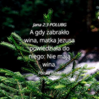 Picture 04 - Jana 2:3 POLUBG - A gdy zabrakło wina, matka Jezusa powiedziała - Bible Verse Picture