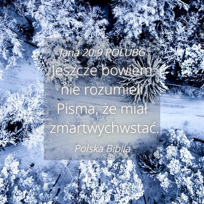 Picture 04 - Jana 20:9 POLUBG - Jeszcze bowiem nie rozumieli Pisma, że miał - Bible Verse Picture