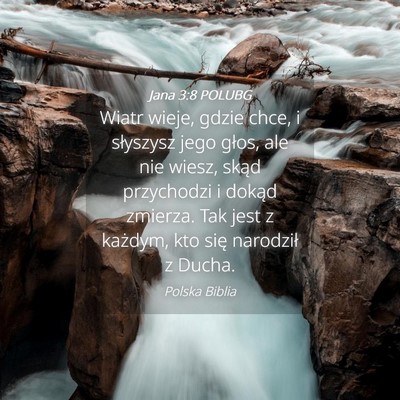 Picture 04 - Jana 3:8 POLUBG - Wiatr wieje, gdzie chce, i słyszysz jego głos, - Bible Verse Picture