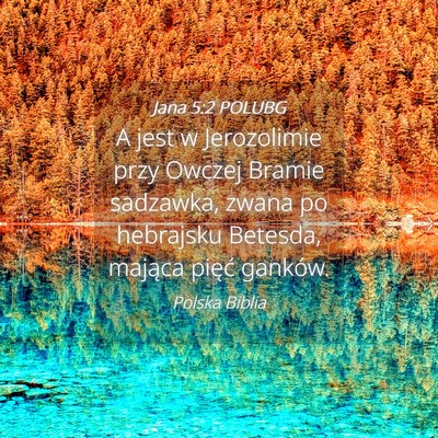 Picture 04 - Jana 5:2 POLUBG - A jest w Jerozolimie przy Owczej Bramie sadzawka, - Bible Verse Picture