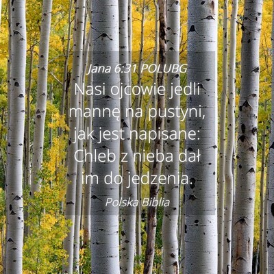 Picture 04 - Jana 6:31 POLUBG - Nasi ojcowie jedli mannę na pustyni, jak jest - Bible Verse Picture