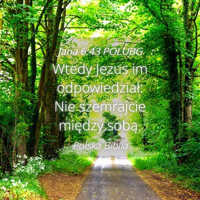 Picture 04 - Jana 6:43 POLUBG - Wtedy Jezus im odpowiedział: Nie szemrajcie - Bible Verse Picture