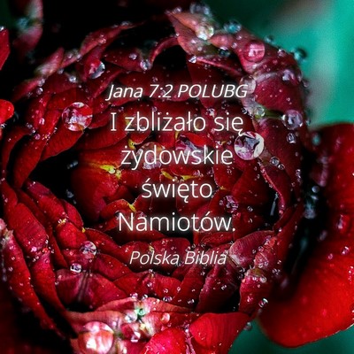 Picture 04 - Jana 7:2 POLUBG - I zbliżało się żydowskie święto - Bible Verse Picture