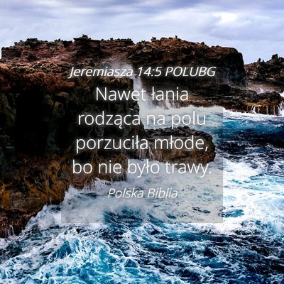 Picture 04 - Jeremiasza 14:5 POLUBG - Nawet łania rodząca na polu porzuciła młode, - Bible Verse Picture