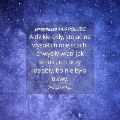 Picture 04 - Jeremiasza 14:6 POLUBG - A dzikie osły, stojąc na wysokich miejscach, - Bible Verse Picture