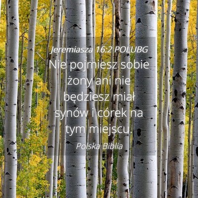 Picture 04 - Jeremiasza 16:2 POLUBG - Nie pojmiesz sobie żony ani nie będziesz miał - Bible Verse Picture