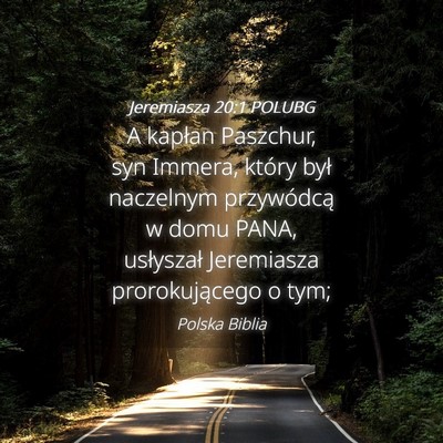 Picture 04 - Jeremiasza 20:1 POLUBG - A kapłan Paszchur, syn Immera, który był - Bible Verse Picture