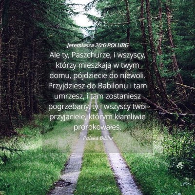 Picture 04 - Jeremiasza 20:6 POLUBG - Ale ty, Paszchurze, i wszyscy, którzy mieszkają - Bible Verse Picture