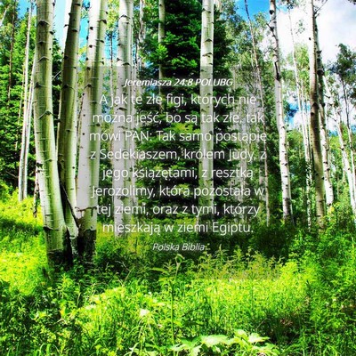 Picture 04 - Jeremiasza 24:8 POLUBG - A jak te złe figi, których nie można jeść, - Bible Verse Picture