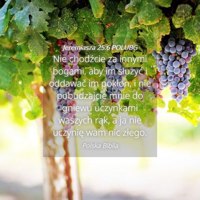 Picture 04 - Jeremiasza 25:6 POLUBG - Nie chodźcie za innymi bogami, aby im służyć - Bible Verse Picture