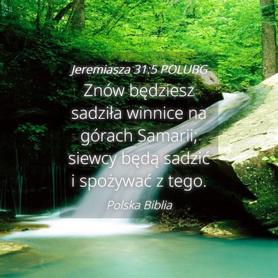 Picture 04 - Jeremiasza 31:5 POLUBG - Znów będziesz sadziła winnice na górach - Bible Verse Picture