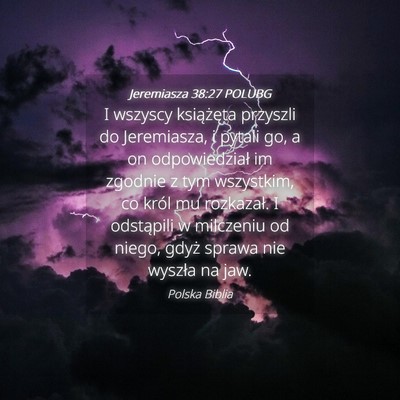 Picture 04 - Jeremiasza 38:27 POLUBG - I wszyscy książęta przyszli do Jeremiasza, i - Bible Verse Picture
