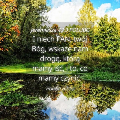 Picture 04 - Jeremiasza 42:3 POLUBG - I niech PAN, twój Bóg, wskaże nam drogę, - Bible Verse Picture