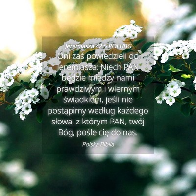 Picture 04 - Jeremiasza 42:5 POLUBG - Oni zaś powiedzieli do Jeremiasza: Niech PAN - Bible Verse Picture