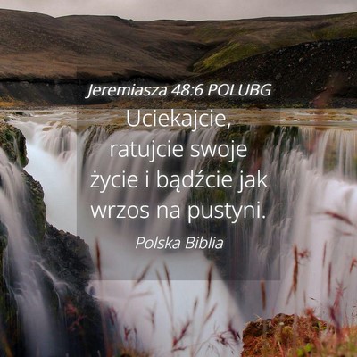 Picture 04 - Jeremiasza 48:6 POLUBG - Uciekajcie, ratujcie swoje życie i bądźcie jak - Bible Verse Picture