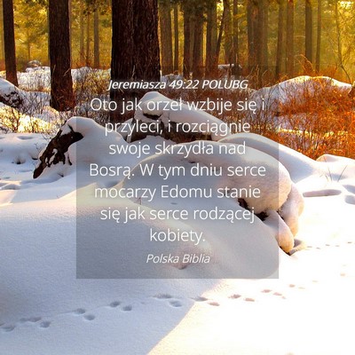 Picture 04 - Jeremiasza 49:22 POLUBG - Oto jak orzeł wzbije się i przyleci, i - Bible Verse Picture