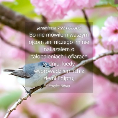 Picture 04 - Jeremiasza 7:22 POLUBG - Bo nie mówiłem waszym ojcom ani niczego im nie - Bible Verse Picture