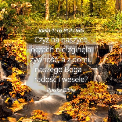 Picture 04 - Joela 1:16 POLUBG - Czyż na naszych oczach nie zginęła żywność, - Bible Verse Picture