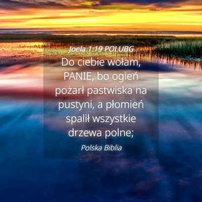 Picture 04 - Joela 1:19 POLUBG - Do ciebie wołam, PANIE, bo ogień pożarł - Bible Verse Picture