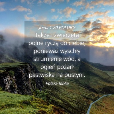 Picture 04 - Joela 1:20 POLUBG - Także i zwierzęta polne ryczą do ciebie, - Bible Verse Picture