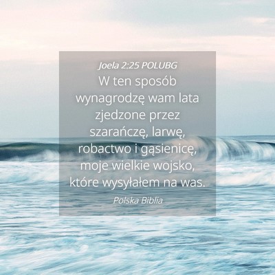 Picture 04 - Joela 2:25 POLUBG - W ten sposób wynagrodzę wam lata zjedzone przez - Bible Verse Picture