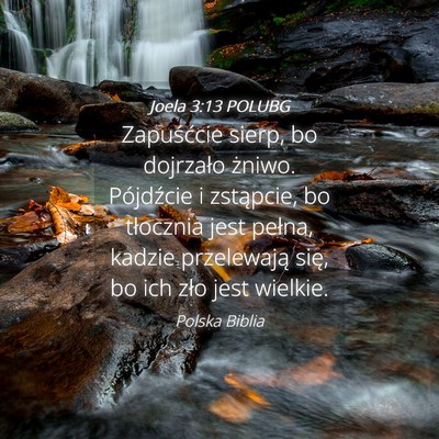 Picture 04 - Joela 3:13 POLUBG - Zapuśćcie sierp, bo dojrzało żniwo. - Bible Verse Picture