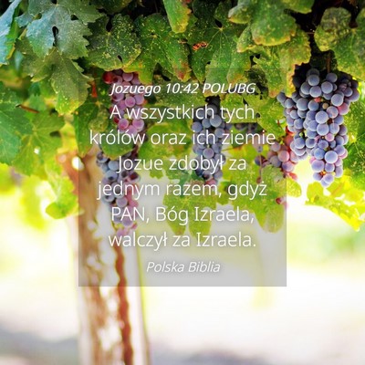Picture 04 - Jozuego 10:42 POLUBG - A wszystkich tych królów oraz ich ziemie Jozue - Bible Verse Picture