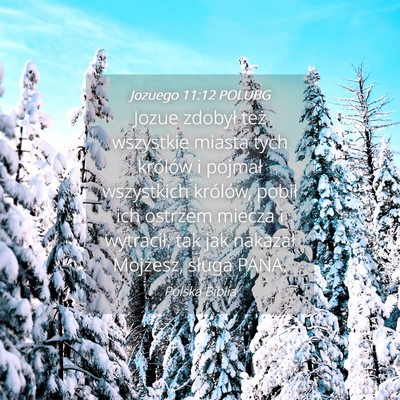 Picture 04 - Jozuego 11:12 POLUBG - Jozue zdobył też wszystkie miasta tych królów - Bible Verse Picture