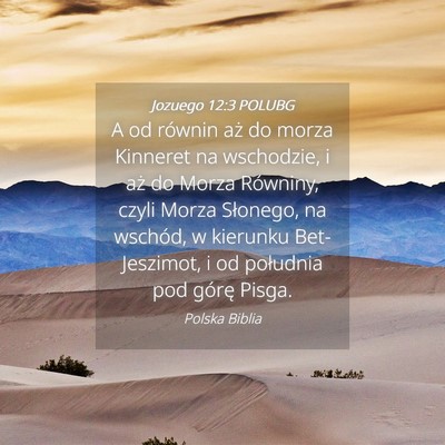 Picture 04 - Jozuego 12:3 POLUBG - A od równin aż do morza Kinneret na wschodzie, - Bible Verse Picture