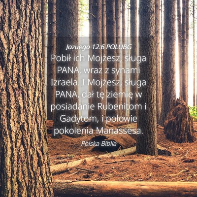 Picture 04 - Jozuego 12:6 POLUBG - Pobił ich Mojżesz, sługa PANA, wraz z synami - Bible Verse Picture