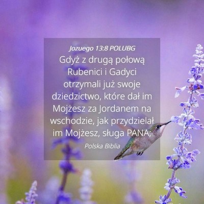 Picture 04 - Jozuego 13:8 POLUBG - Gdyż z drugą połową Rubenici i Gadyci - Bible Verse Picture