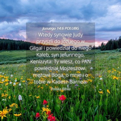 Picture 04 - Jozuego 14:6 POLUBG - Wtedy synowie Judy przyszli do Jozuego w Gilgal i - Bible Verse Picture