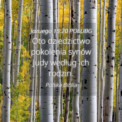 Picture 04 - Jozuego 15:20 POLUBG - Oto dziedzictwo pokolenia synów Judy według ich - Bible Verse Picture
