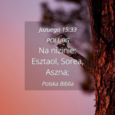 Picture 04 - Jozuego 15:33 POLUBG - Na nizinie: Esztaol, Sorea, - Bible Verse Picture