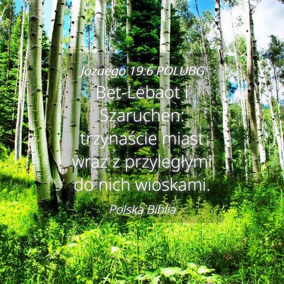 Picture 04 - Jozuego 19:6 POLUBG - Bet-Lebaot i Szaruchen: trzynaście miast wraz z - Bible Verse Picture