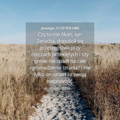 Picture 04 - Jozuego 22:20 POLUBG - Czy to nie Akan, syn Zeracha, dopuścił się - Bible Verse Picture