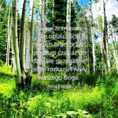 Picture 04 - Jozuego 22:3 POLUBG - Nie opuściliście swoich braci przez ten długi - Bible Verse Picture