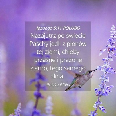 Picture 04 - Jozuego 5:11 POLUBG - Nazajutrz po święcie Paschy jedli z plonów tej - Bible Verse Picture