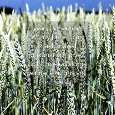Picture 04 - Jozuego 8:15 POLUBG - Wtedy Jozue i cały Izrael udawali pokonanych - Bible Verse Picture